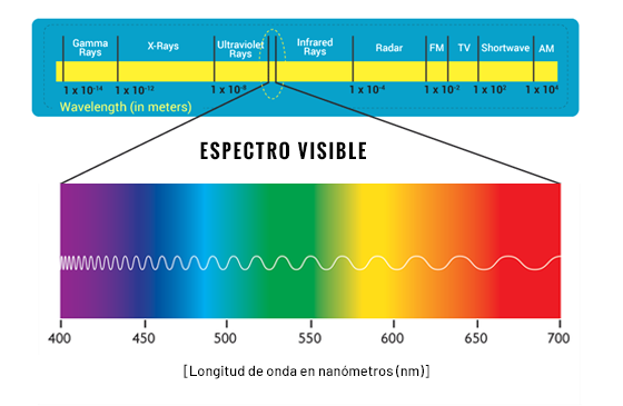 Espectro visible: relación entre longitud de onda y color percibido por el ser humano.
